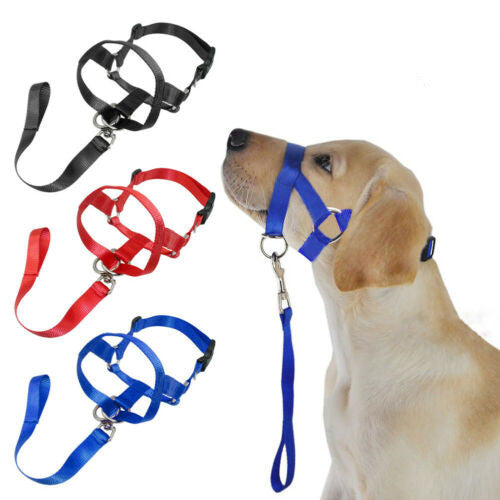 Adjustable Dog Muzzle – Anti-Biting & Training Control Mouth Cover