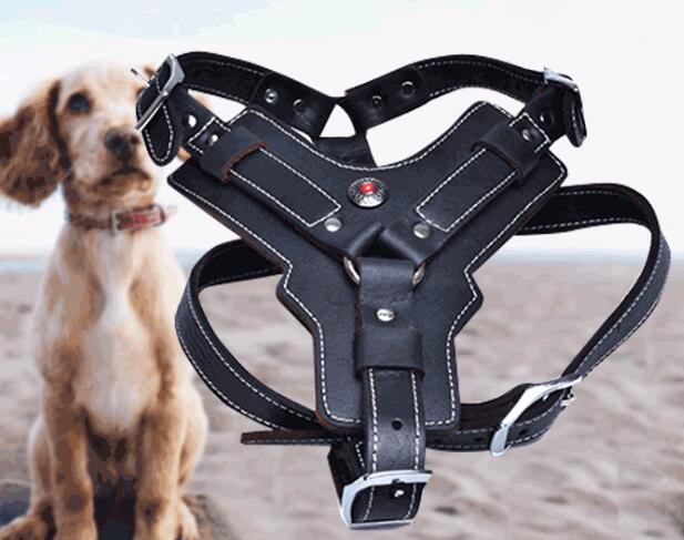 Genuine Leather Dog Harness – Adjustable Premium Chest Strap