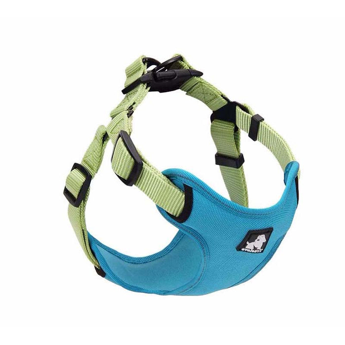 Dog Harness and Leash Set – Breathable Mesh Adjustable Walking Gear