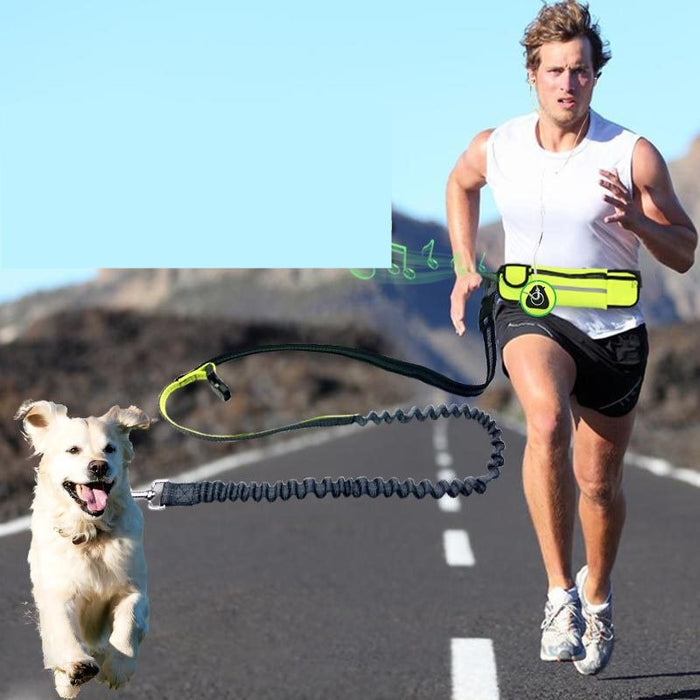 Hands-Free Dog Running Leash with Waist Belt & Bungee Lead