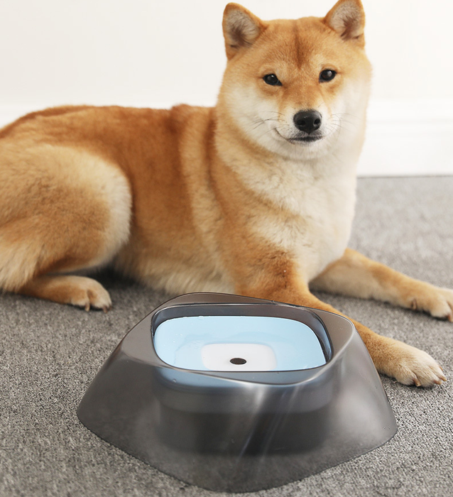 Floating Dog Water Bowl – No Spill Pet Drinking Bowl Anti Splash