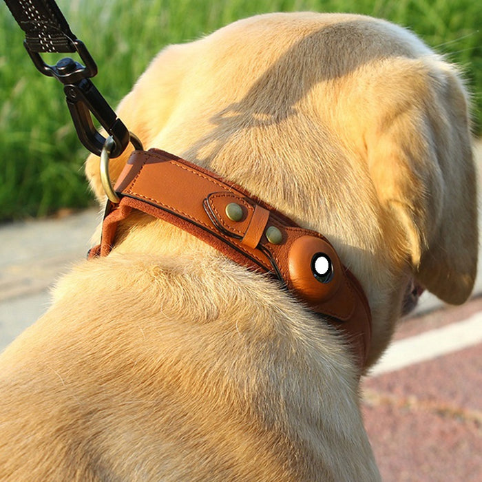 Leather AirTag Dog Collar – Premium Pet Tracking Collar Adjustable