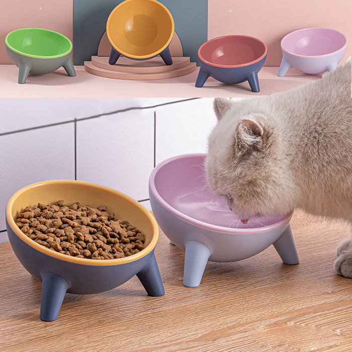 Elevated Pet Bowl with Stand – Tilted Cat & Dog Feeding Bowl