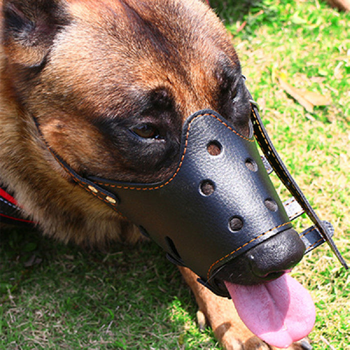 Leather Dog Muzzle – Adjustable Bite Proof Mouth Guard for All Sizes
