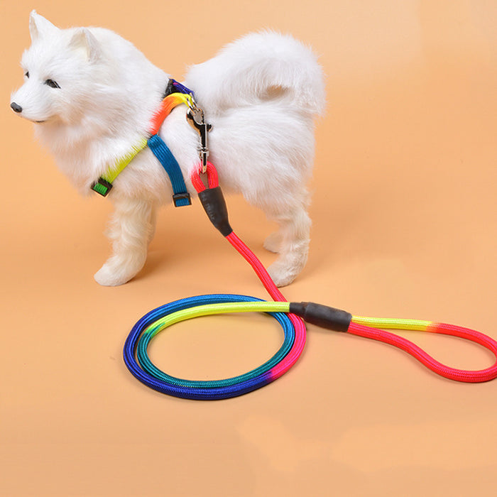 Colorful Nylon Dog Leash with Comfortable Grip – Durable Pet Walking Rope