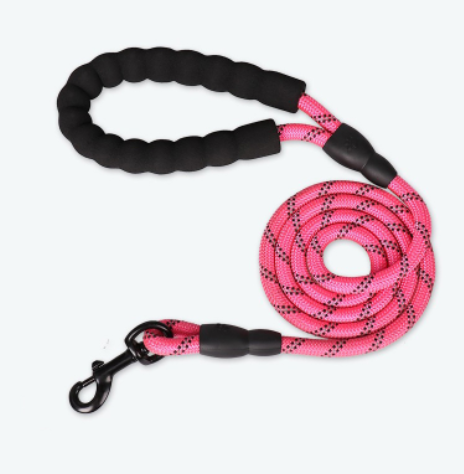 Reflective Dog Leash – Durable Nylon Walking Lead for Safety