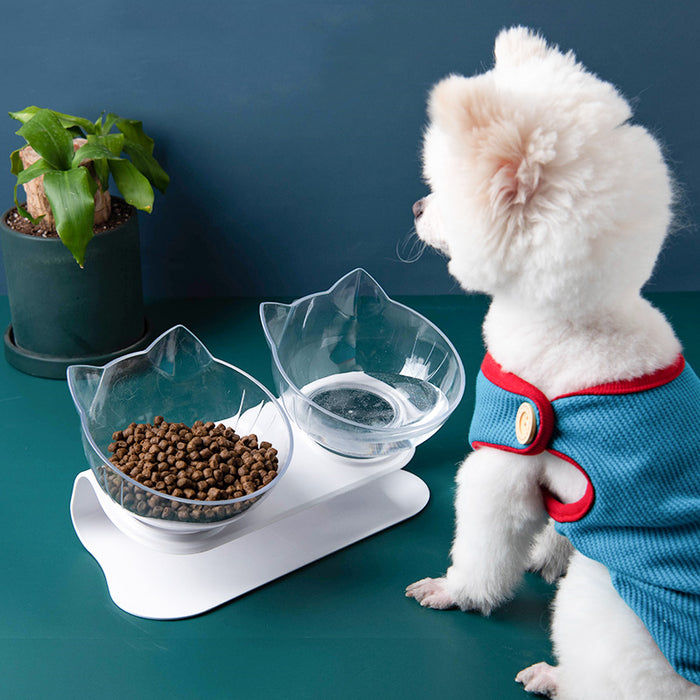 Tilted Cat Bowl with Stand – Elevated Anti Spill Pet Feeding Bowl