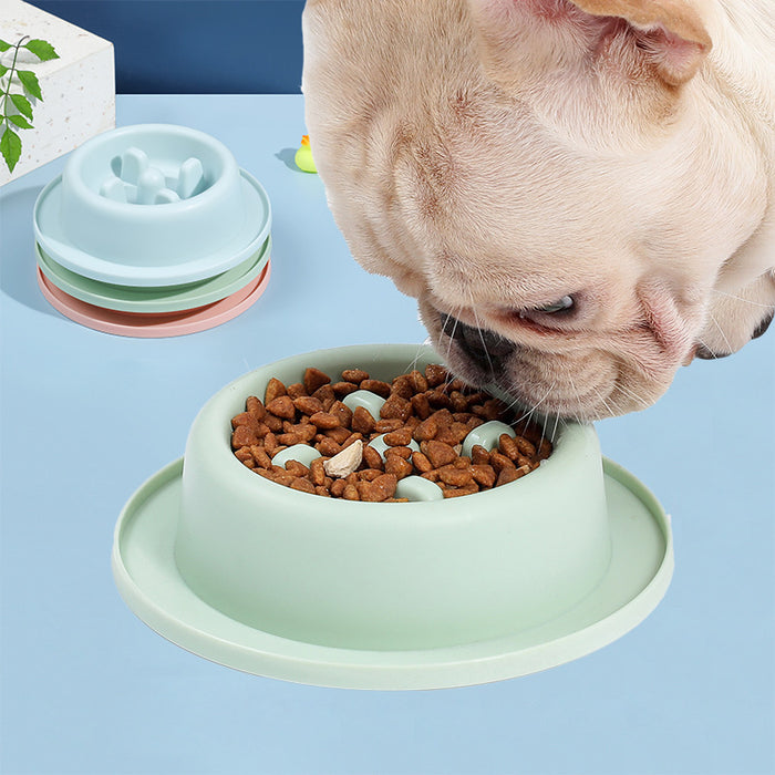 Slow Feeder Dog Bowl – Anti Choking Pet Feeding Bowl for Dogs & Cats
